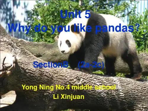 人教版新目标七年级下Unit5 Section B2课件ppt