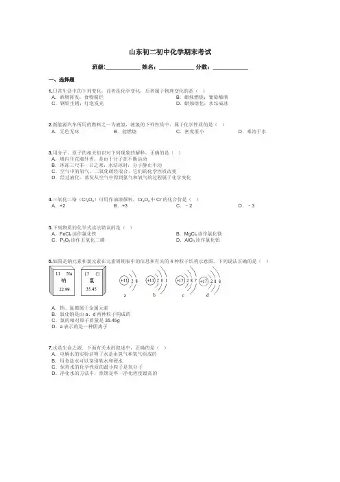 山东初二初中化学期末考试带答案解析
