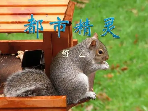 《都市精灵》PPT课件4 (共27张PPT)