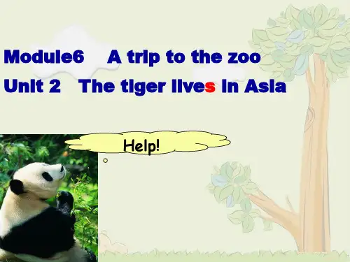 外研版七年级英语上册M6 u2  The tiger lives in Asia  课件 (共20张PPT)