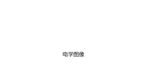 陕西省物理中考专题复习课件     电学图像