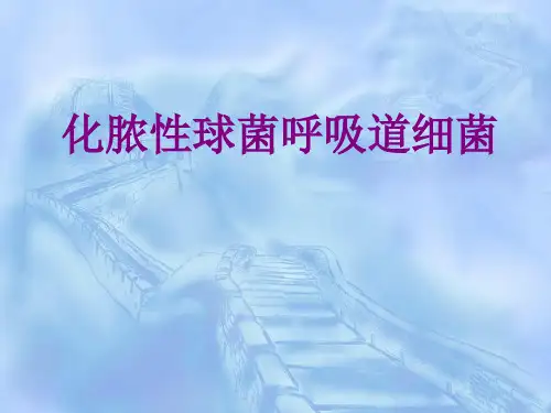 化脓性球菌呼吸道细菌优质PPT课件