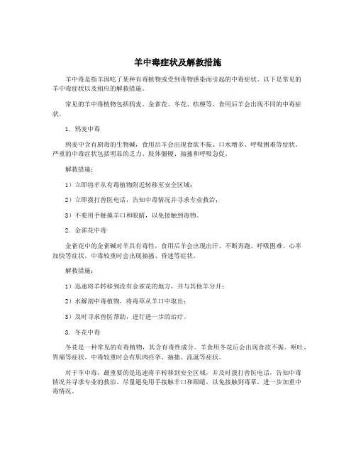 羊中毒症状及解救措施