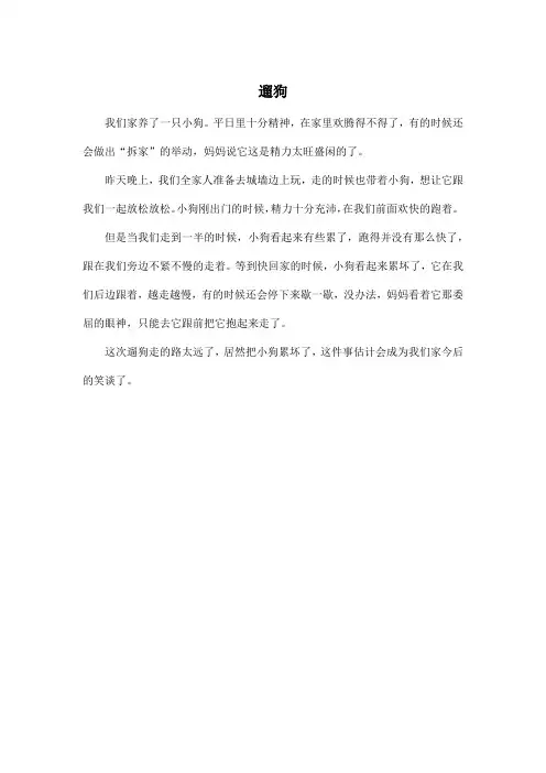 遛狗_小学六年级作文200字
