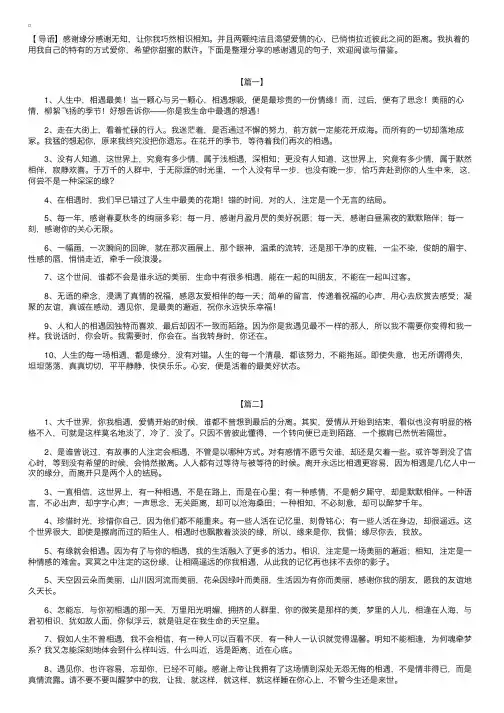 感谢遇见的句子【三篇】