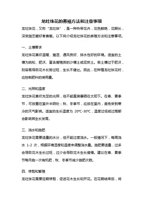 龙吐珠花的养殖方法和注意事项