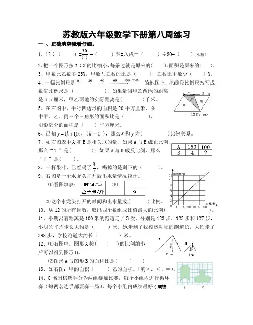 苏教版六年级数学下册第八周练习