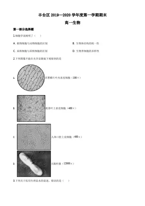 北京市丰台区2019-2020学年高一上学期期末生物试题