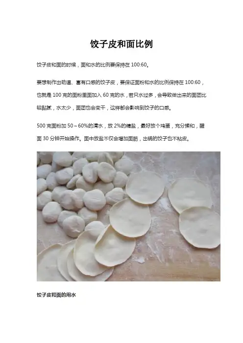 饺子皮和面比例