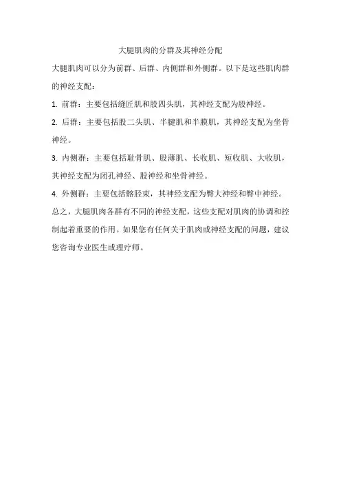 大腿肌肉的分群及其神经分配