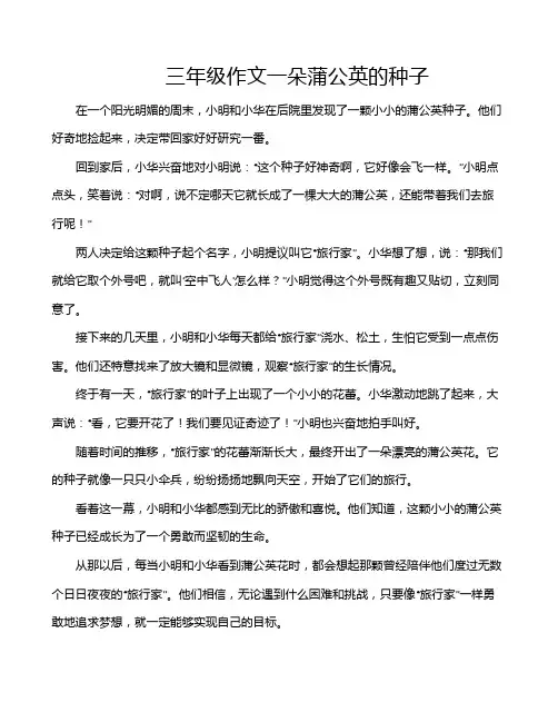 三年级作文一朵蒲公英的种子