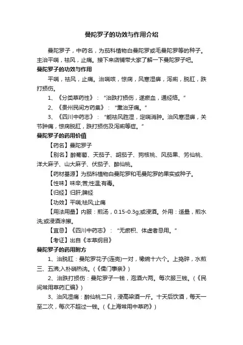 曼陀罗子的功效与作用介绍