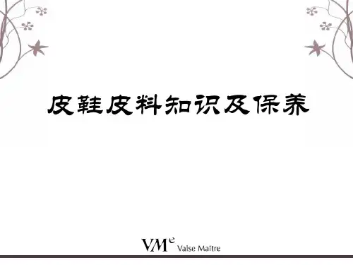 皮鞋皮料知识及保养-PPT课件
