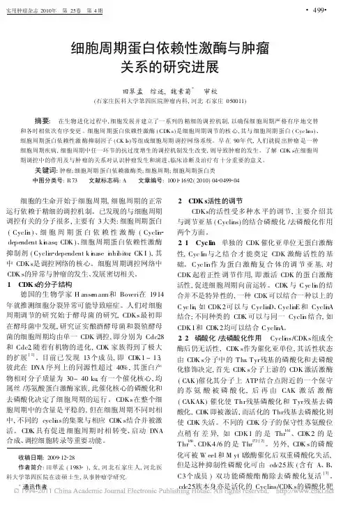 细胞周期蛋白依赖性激酶与肿瘤关系的研究进展