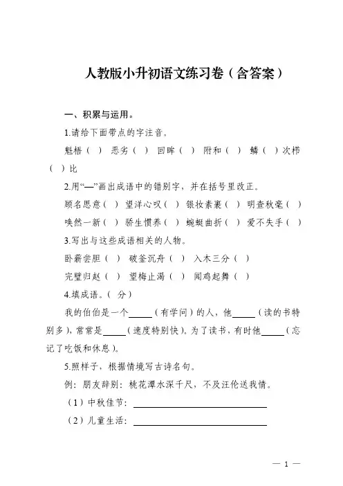 人教版小升初语文练习卷(含答案)
