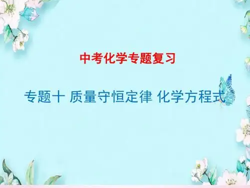初中化学专题复习十 质量守恒定律 化学方程式