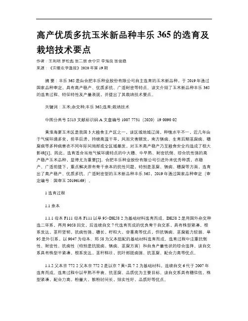 高产优质多抗玉米新品种丰乐365的选育及栽培技术要点