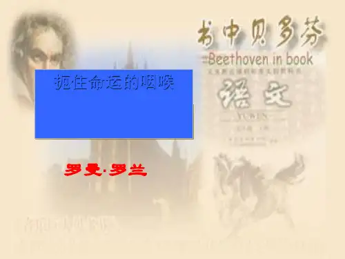 贝多芬：扼住命运的咽喉PPT10