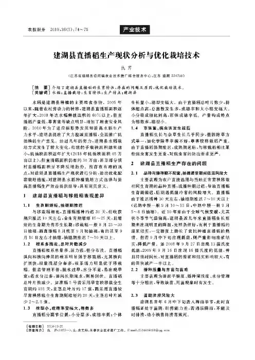 建湖县直播稻生产现状分析与优化栽培技术