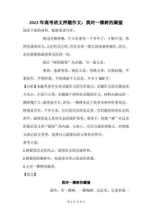 2023年高考语文押题作文：我对一棵树的凝望