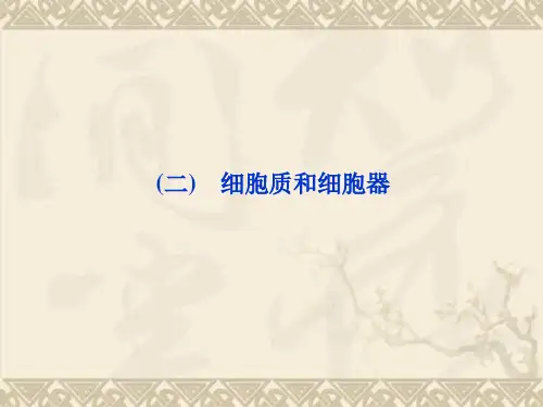苏教版生物必修1全册精品课件 第三章 第二节(二)