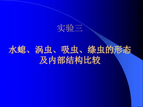 实验三、腔肠动物与扁形动物