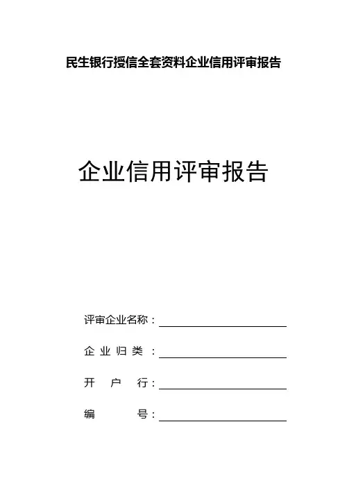 民生银行授信全套资料企业信用评审报告