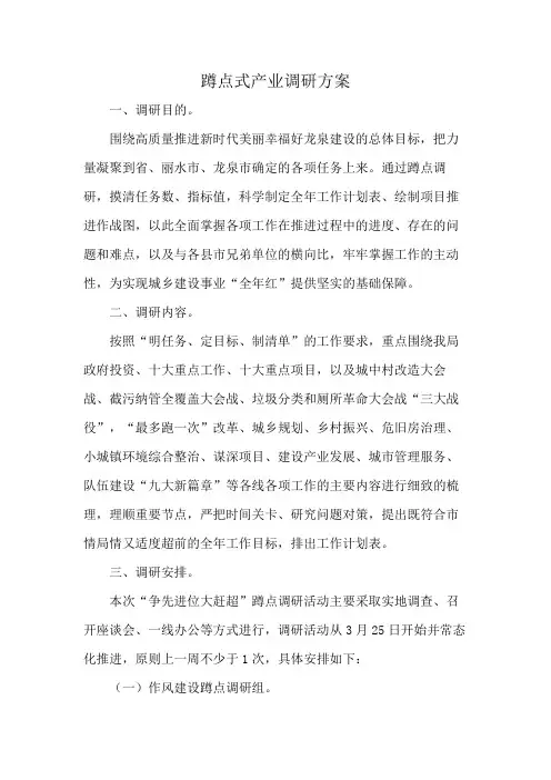 蹲点式产业调研方案