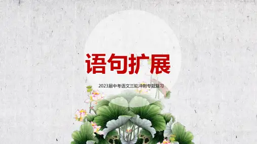 2023届中考语文三轮冲刺专题复习《语句扩展》教学PPT课件