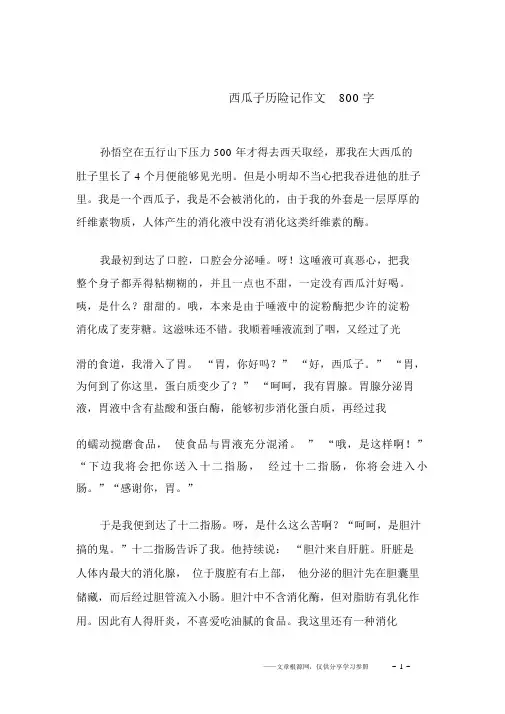 西瓜子历险记作文800字