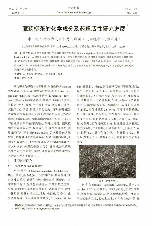 藏药柳茶的化学成分及药理活性研究进展