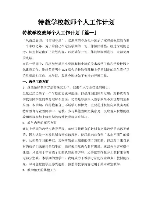 特教学校教师个人工作计划