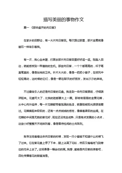 描写美丽的事物作文