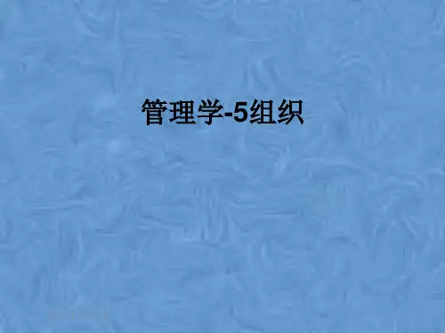 管理学-5组织