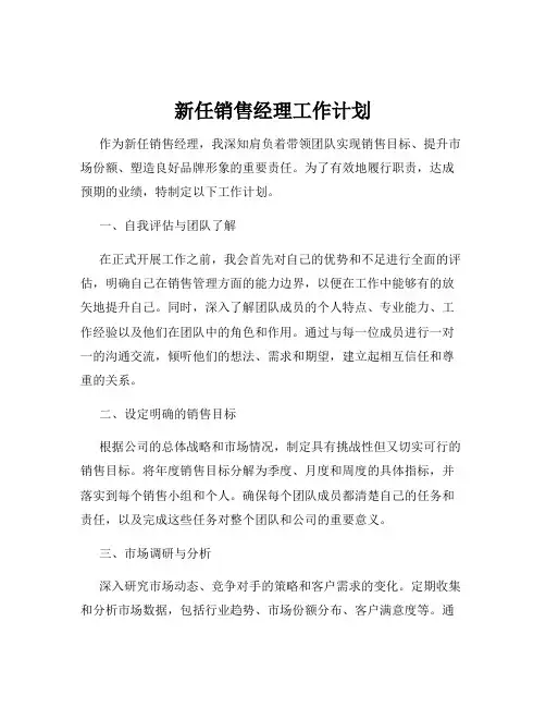 新任销售经理工作计划