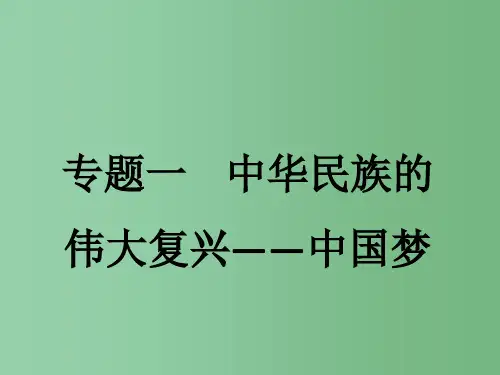 中考历史第二轮复习 专题一 中华民族的伟大复兴—中国梦课件