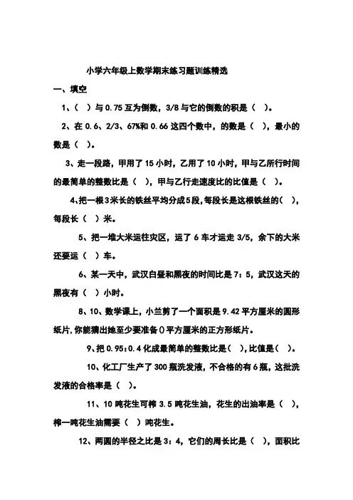 小学六年级上数学期末练习题训练精选