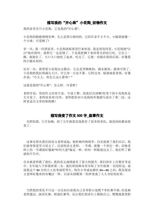 描写我变了作文500字_叙事作文