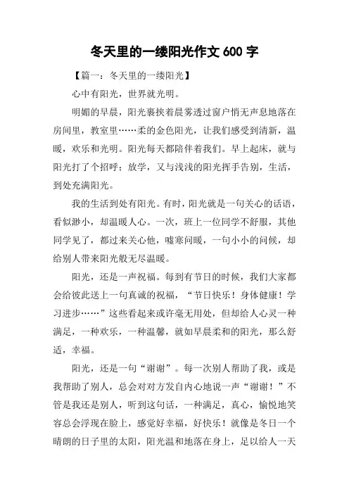 冬天里的一缕阳光作文600字