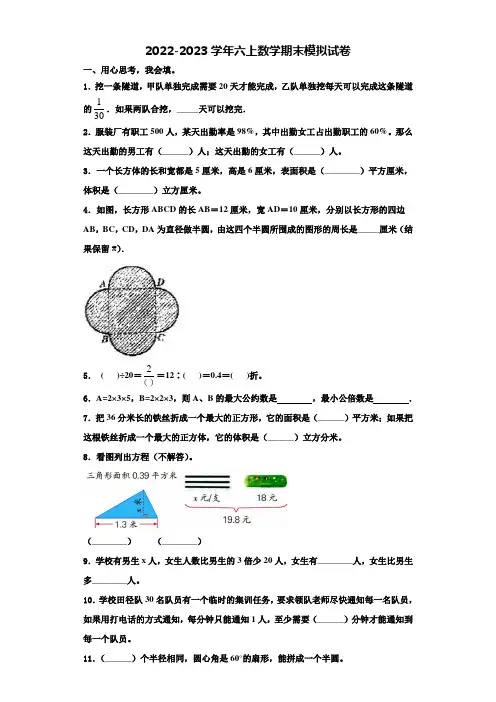 丽水市庆元县2022-2023学年六年级数学第一学期期末达标检测模拟试题含解析