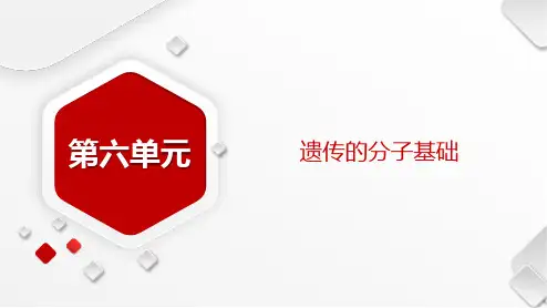 一轮复习 人教版 DNA是主要的遗传物质(46张) 课件