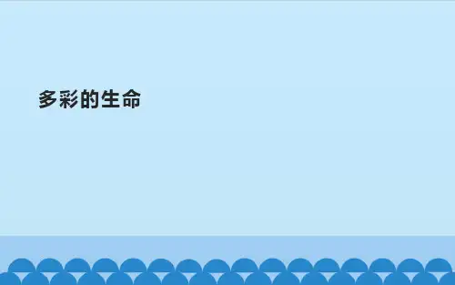 小学专题教育 生命 生态 安全 50 多彩的生命 课件