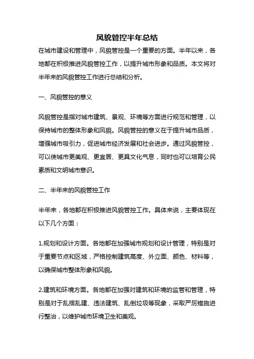 风貌管控半年总结