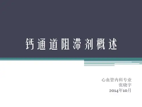 钙通道阻滞剂