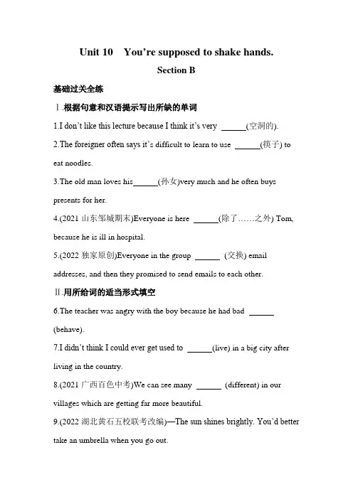 英语人教九年级全一册人教版 Unit 10 全练版：Section B
