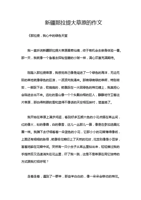 新疆那拉提大草原的作文