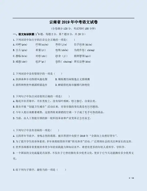 云南省2019年中考语文试卷附答案详析