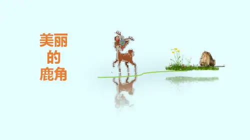 部编版三年级下册语文《美丽的鹿角》教学说课课件