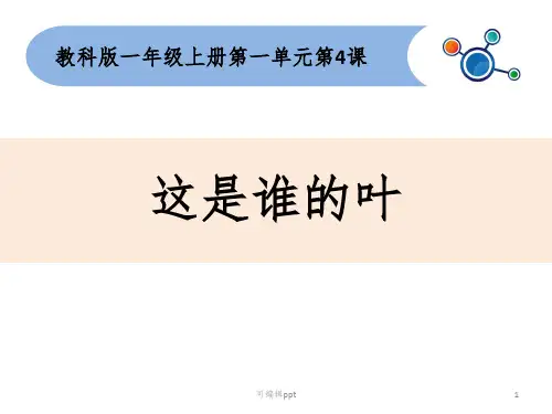 小学一年级科学这是谁的叶ppt课件