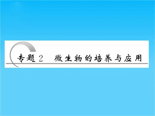 高考生物一轮复习 专题2微生物的培养与应用精品课件 新人教版选修1